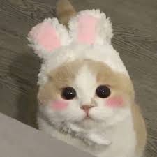 محمد امیر avatar