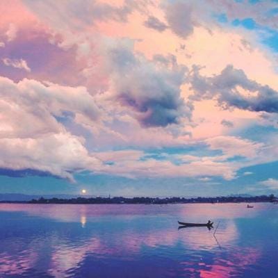 صبا حمید avatar